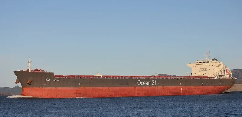 SARI INDAH Bulk Carrier IMO 9624964 photo 4