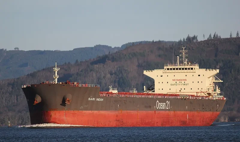 SARI INDAH Bulk Carrier IMO 9624964 photo 5
