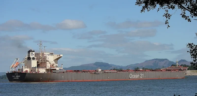SARI INDAH Bulk Carrier IMO 9624964 photo 6