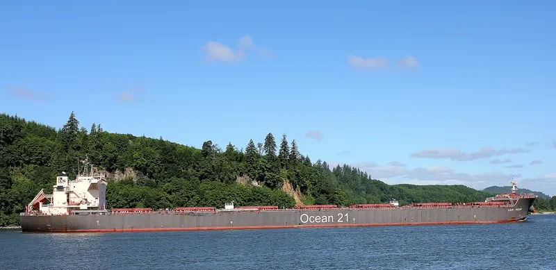 SARI INDAH Bulk Carrier IMO 9624964 photo 7