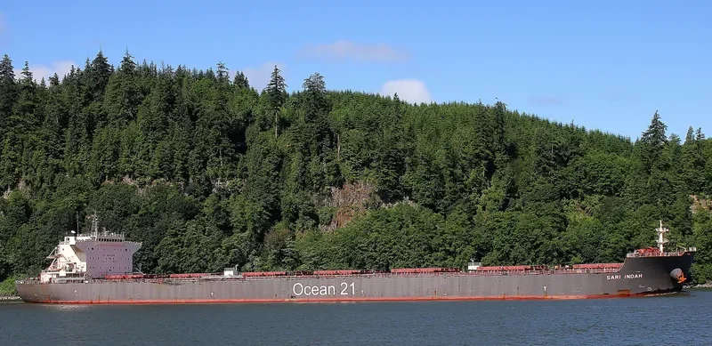 SARI INDAH Bulk Carrier IMO 9624964 photo 8