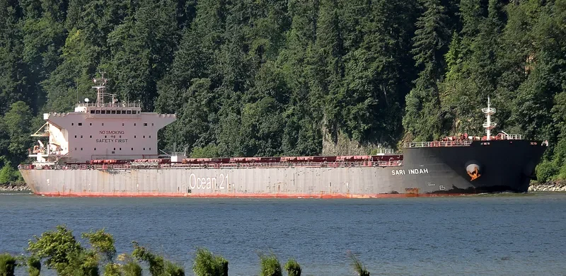 SARI INDAH Bulk Carrier IMO 9624964 photo 9