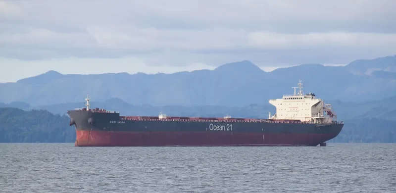 SARI INDAH Bulk Carrier IMO 9624964 photo 10
