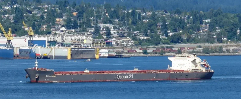 BOGA INDAH Bulk Carrier IMO 9624976 photo 2