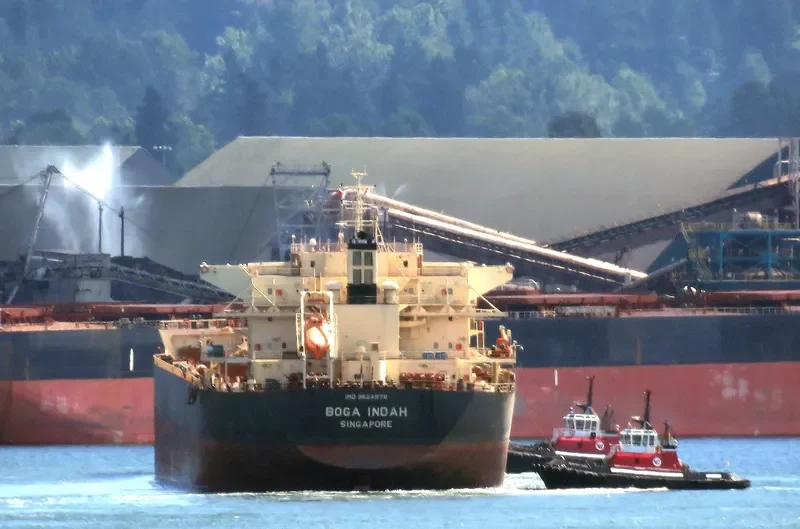 BOGA INDAH Bulk Carrier IMO 9624976 photo 3