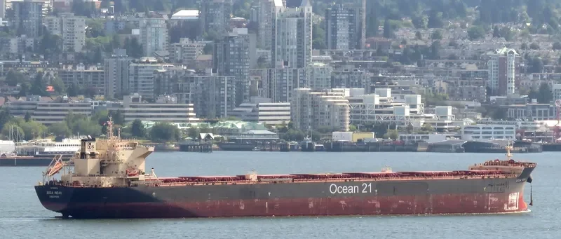 BOGA INDAH Bulk Carrier IMO 9624976 photo 4