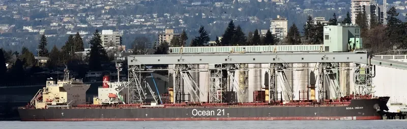 BOGA INDAH Bulk Carrier IMO 9624976 photo 6