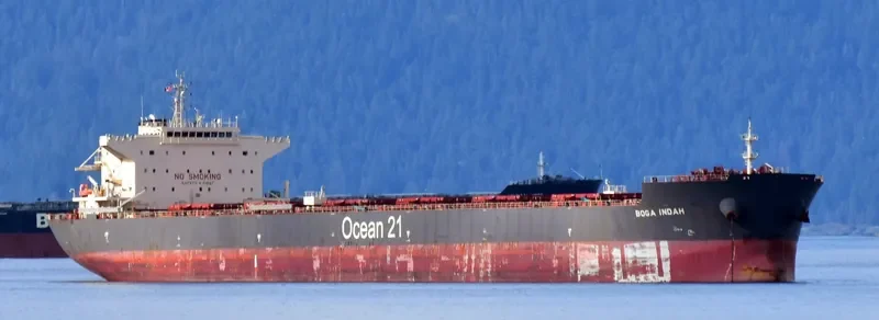 BOGA INDAH Bulk Carrier IMO 9624976 photo 8