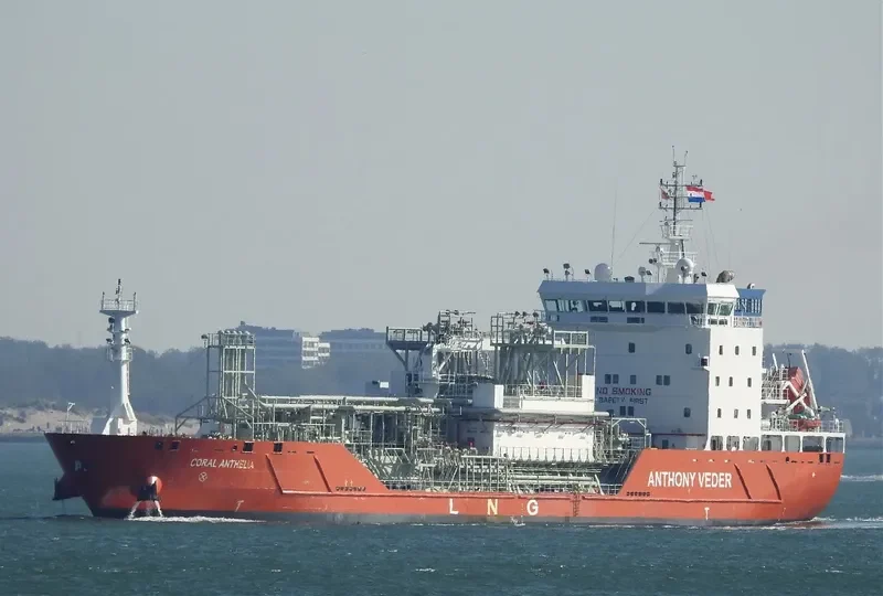 CORAL ANTHELIA General Cargo IMO 9625140 photo 2