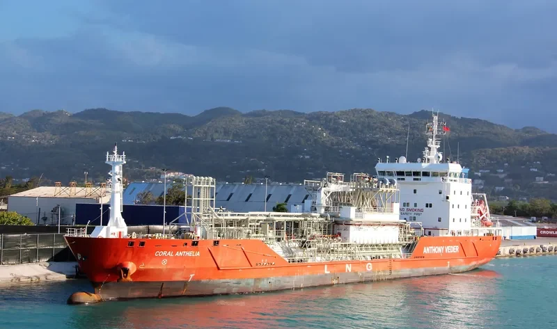 CORAL ANTHELIA General Cargo IMO 9625140 photo 3