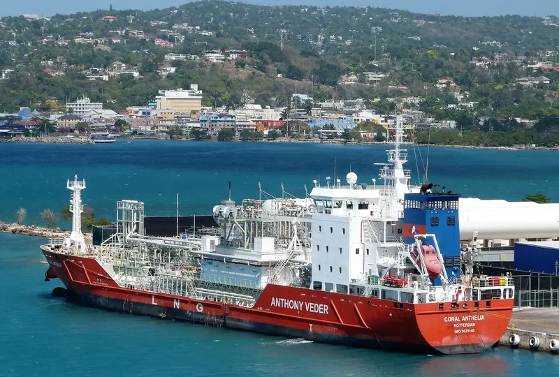 CORAL ANTHELIA General Cargo IMO 9625140 photo 5