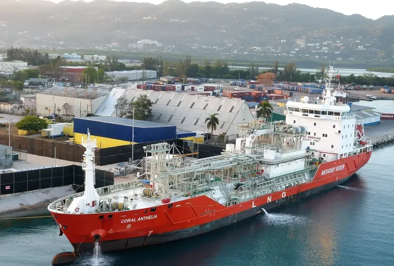 CORAL ANTHELIA General Cargo IMO 9625140 photo 6