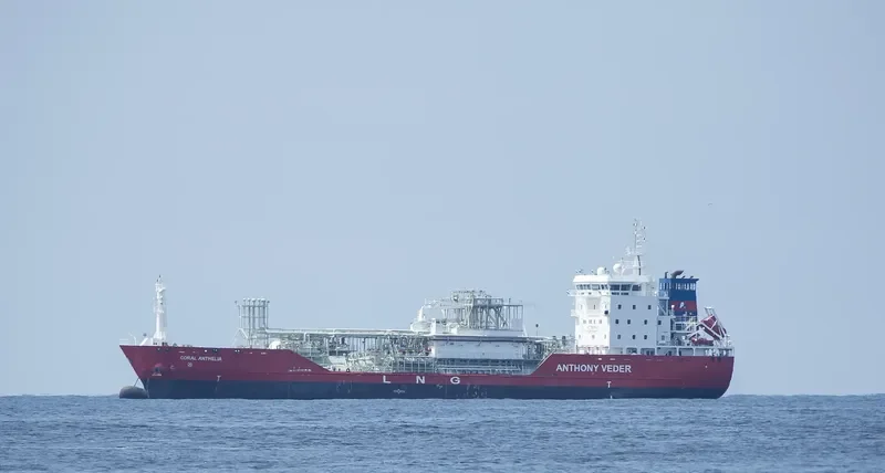 CORAL ANTHELIA General Cargo IMO 9625140 photo 10