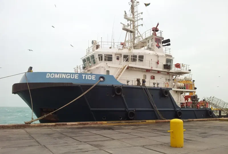 DOMINGUE TIDE Multi-Purpose Vessel IMO 9625164