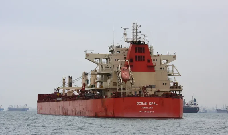 CIRCLE HARMONY Bulk Carrier IMO 9625243 photo 3