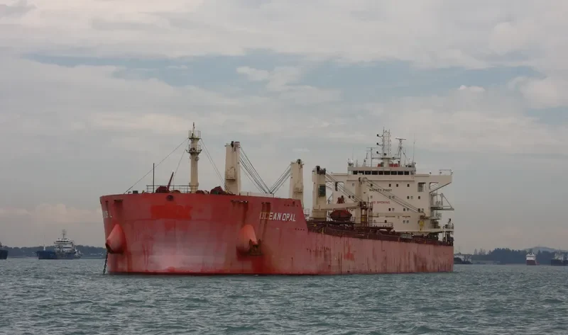 CIRCLE HARMONY Bulk Carrier IMO 9625243 photo 4