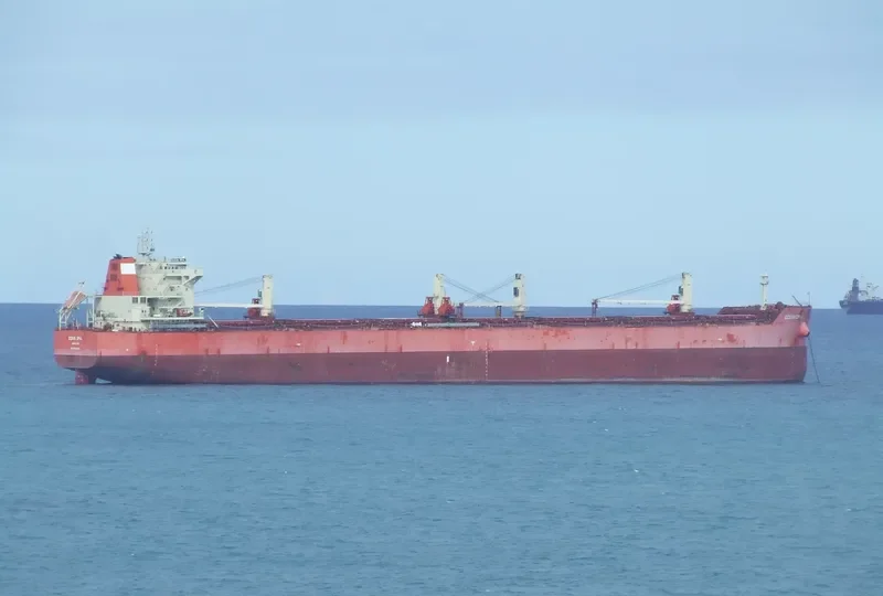 CIRCLE HARMONY Bulk Carrier IMO 9625243 photo 5