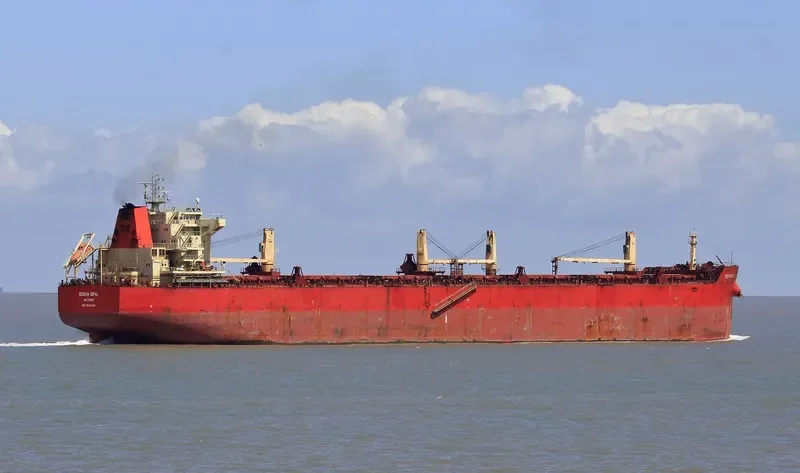 CIRCLE HARMONY Bulk Carrier IMO 9625243 photo 6