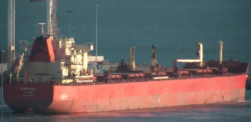 CIRCLE HARMONY Bulk Carrier IMO 9625243 photo 8