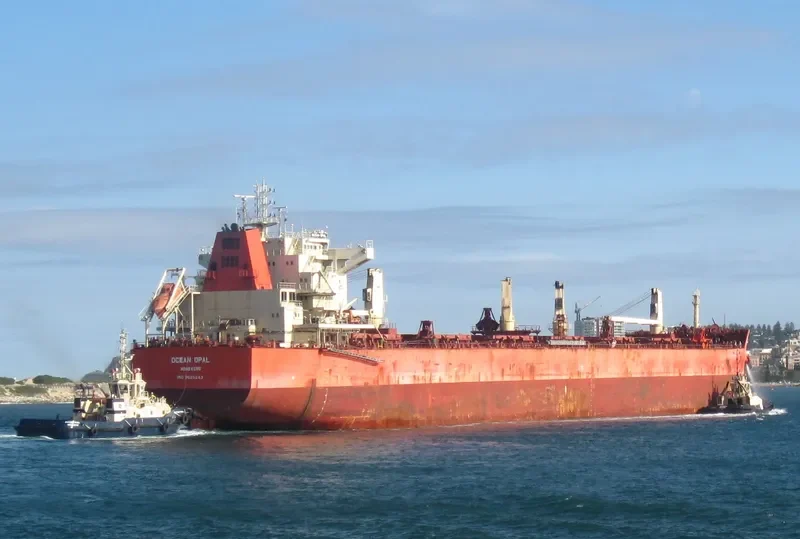CIRCLE HARMONY Bulk Carrier IMO 9625243 photo 9