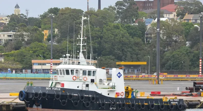 SEA FORCE General Cargo IMO 9625322 photo 10