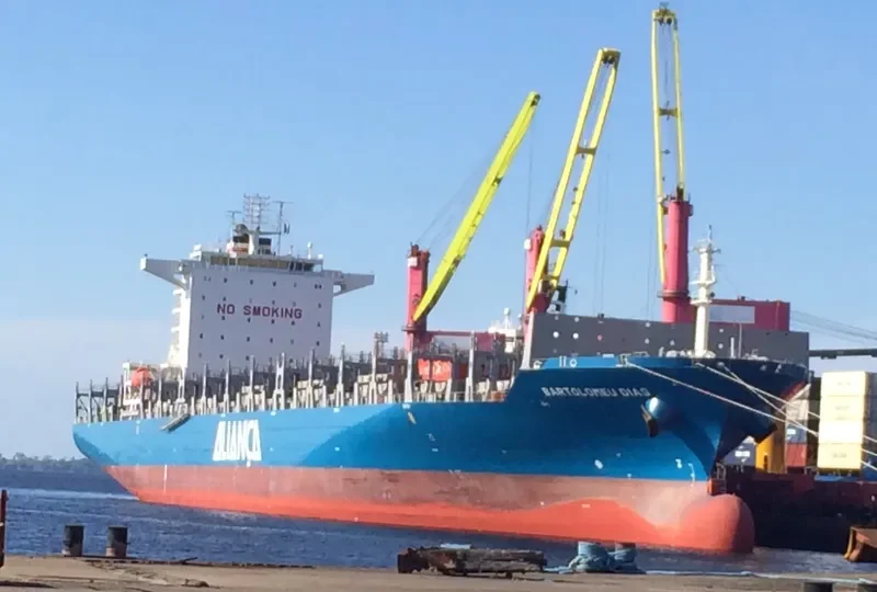 BARTOLOMEU DIAS Container Ship IMO 9625384 photo 4