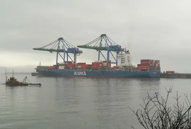 VICENTE PINZON Container Ship IMO 9625396