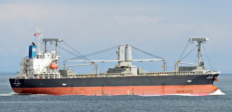 COREBRIGHT OL General Cargo IMO 9625437 photo 6