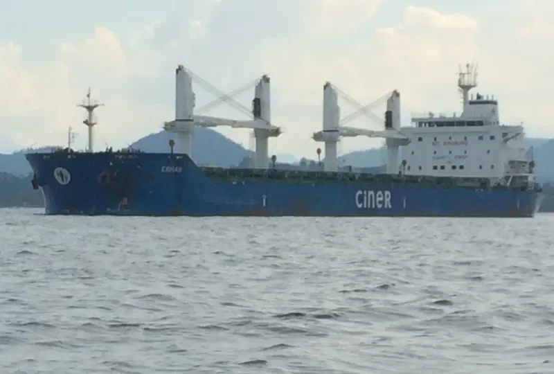 ERHAN Bulk Carrier IMO 9625449 photo 6