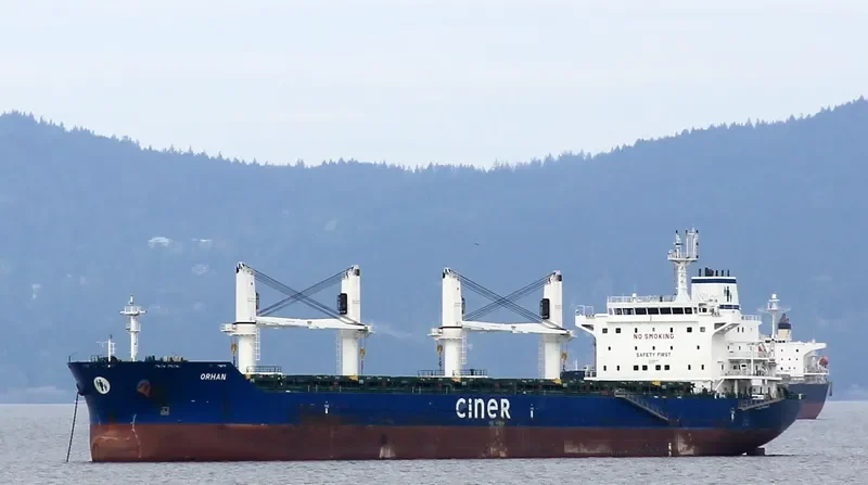 ORHAN Bulk Carrier IMO 9625451 photo 4
