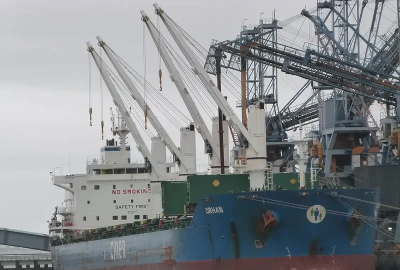 ORHAN Bulk Carrier IMO 9625451 photo 6