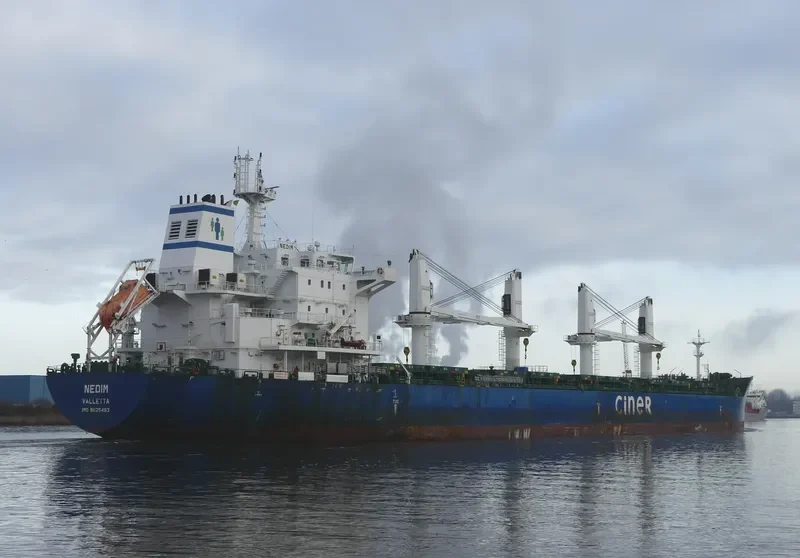 NEDIM Bulk Carrier IMO 9625463