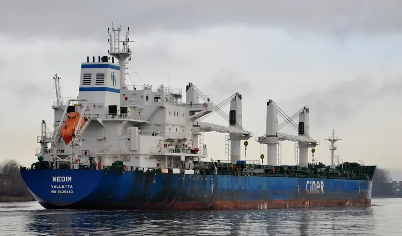 NEDIM Bulk Carrier IMO 9625463 photo 3