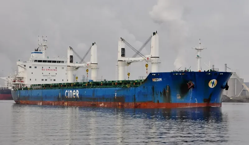 NEDIM Bulk Carrier IMO 9625463 photo 4