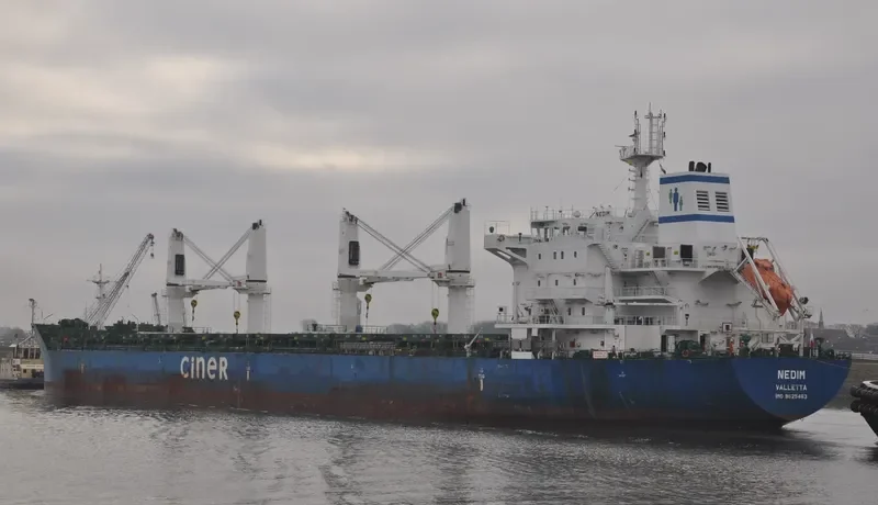 NEDIM Bulk Carrier IMO 9625463 photo 5