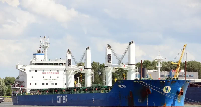 NEDIM Bulk Carrier IMO 9625463 photo 8
