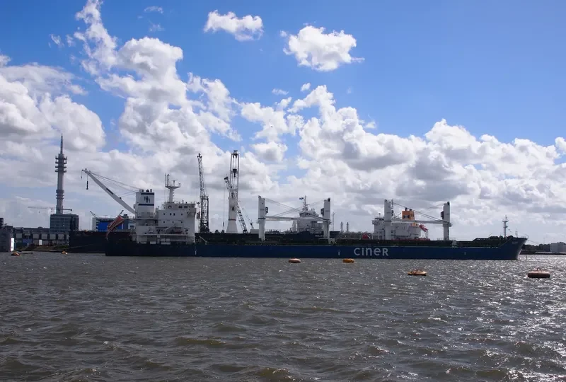 NEDIM Bulk Carrier IMO 9625463 photo 10
