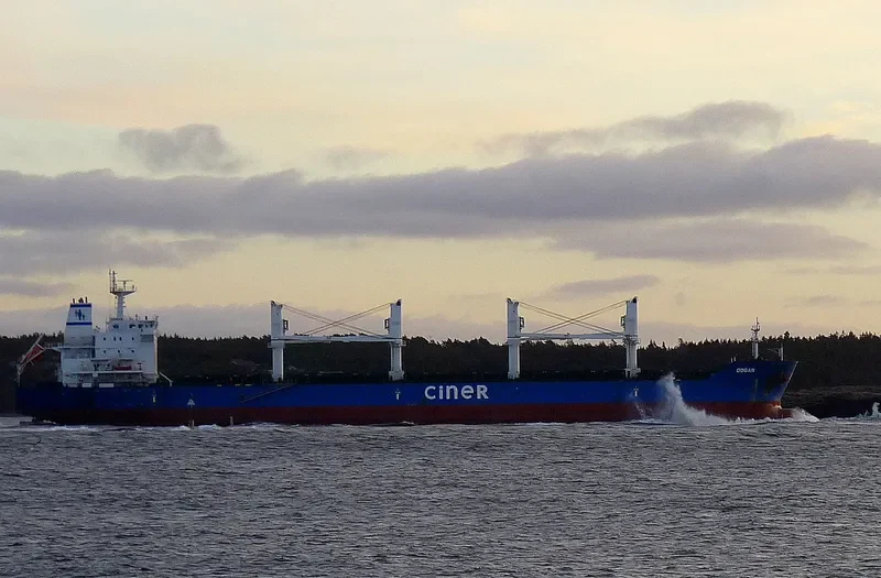 DOGAN Bulk Carrier IMO 9625475 photo 4