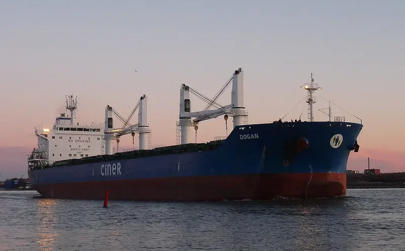 DOGAN Bulk Carrier IMO 9625475 photo 5