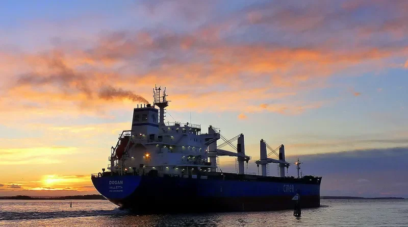 DOGAN Bulk Carrier IMO 9625475 photo 6