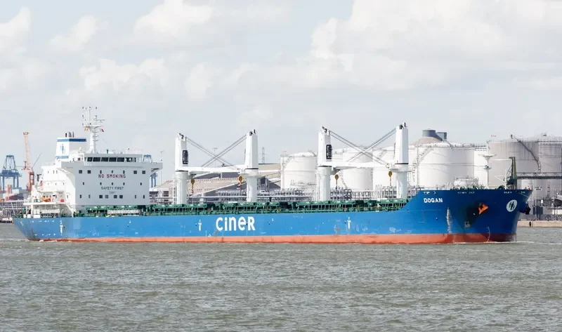 DOGAN Bulk Carrier IMO 9625475 photo 7