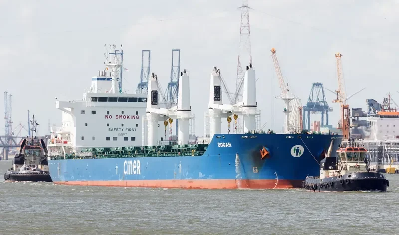 DOGAN Bulk Carrier IMO 9625475 photo 8