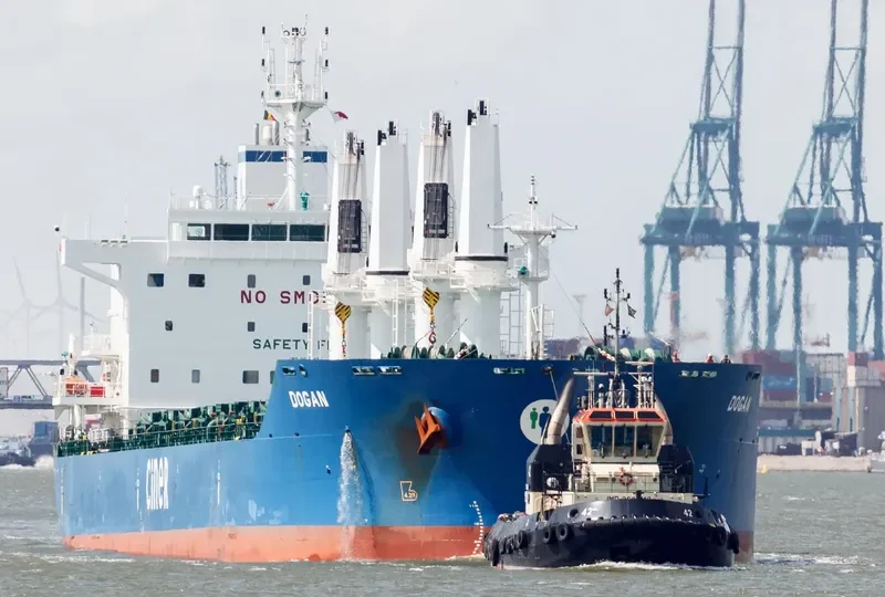 DOGAN Bulk Carrier IMO 9625475 photo 9