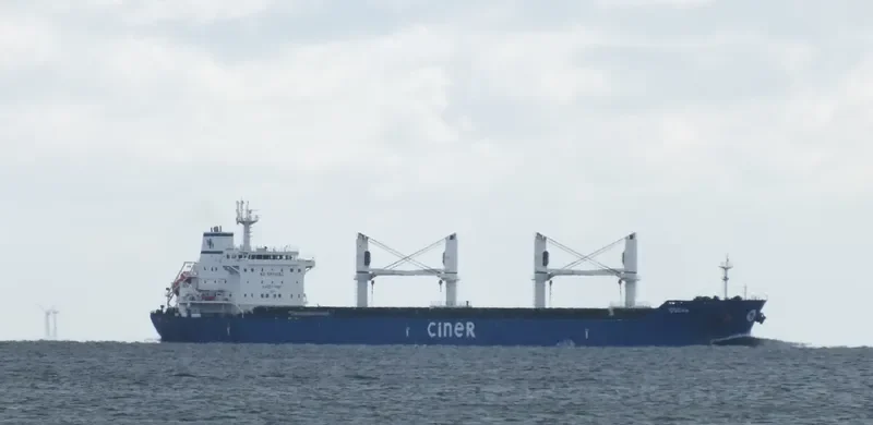 DOGAN Bulk Carrier IMO 9625475 photo 10