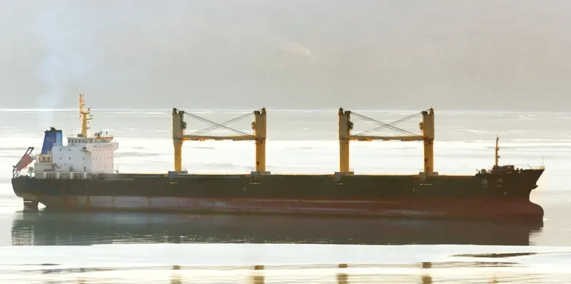 HAI LI 17 Bulk Carrier IMO 9625566 photo 6