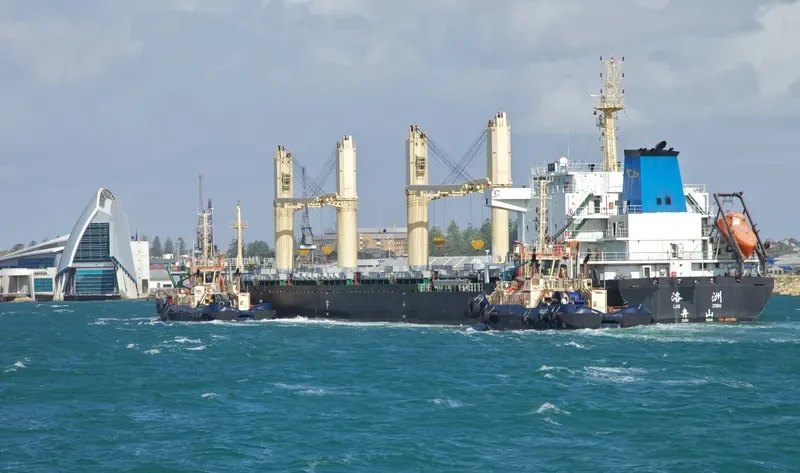 HAI LI 17 Bulk Carrier IMO 9625566 photo 8