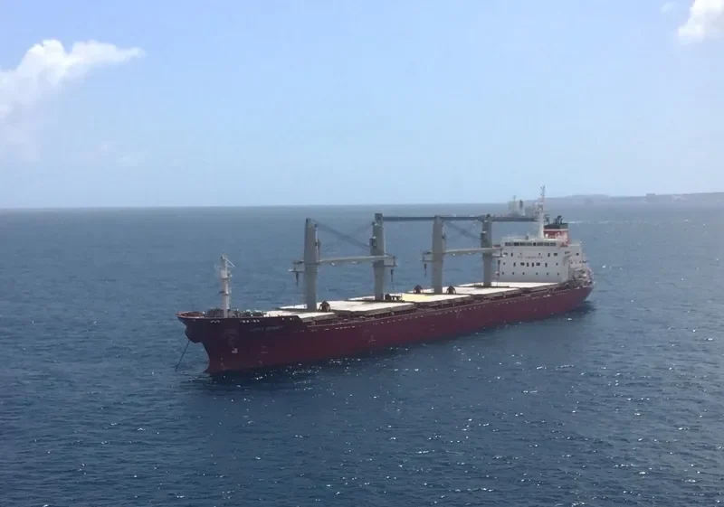 LADY DEMET Bulk Carrier IMO 9625592