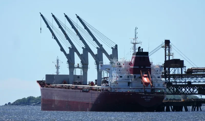 LADY DEMET Bulk Carrier IMO 9625592 photo 2