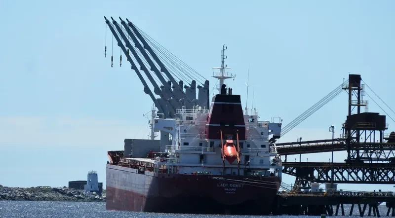 LADY DEMET Bulk Carrier IMO 9625592 photo 3