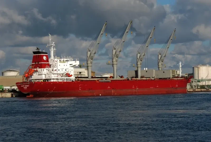 LADY DEMET Bulk Carrier IMO 9625592 photo 5